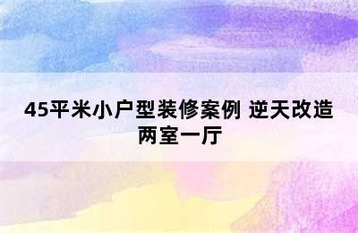 45平米小户型装修案例 逆天改造两室一厅